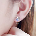 Korean Style Mini Dolphin Zircon Stud Earrings For Women, Sweet Small Animal Ear Jewelry view 5