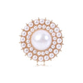 Alloy Pearl Brooch Pin For Cute Girls' Fashion Accessories view 1