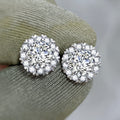 Elegant Snowflake Zircon Stud Earrings For Women, Korean Banquet Small Ear Jewelry view 3