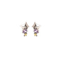 Elegant French Four-Point Star Studs With Purple Zircon Rhinestone Micro Pave Alloy Fashion Earrings view 5