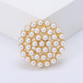 Alloy Baroque Palace Style Brooch For Vintage Garment Accessories view 2