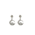 Cute Silver Alloy Zircon Moonstone Crescent Moon Star Astronaut Stud Drop Women's Fashion Earrings view 4