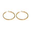 Korean Chic Metal Round Plain Hoop Earrings With Silver Needles Minimalist Geometric Ear Jewelry view 5