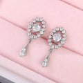 French Niche Winter Tassel Zircon Drop Earrings For Women Gentle Elegant Fashion Jewelry view 4