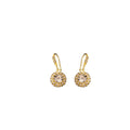 Elegant Luxury Gold Alloy Hook Drop With Round Zircon Crystal Halo Geometric Commuter Fashion Earrings view 5
