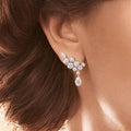 Korean Fashion Leaf Tassel Drop Earrings, Sparkling Zircon Waterdrop Ear Jewelry view 1