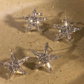 Alloy Silver Needle Zircon Starfish Stud Earrings Minimalist Light Luxury Star Design For Women view 4