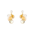 Light Luxury Resin Grape Drop Earrings With Real Gold Plating And Silver Posts view 5