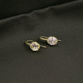Elegant Geometric Oval Zircon Drop Hook Earrings, Gold Plated Alloy Luxury Minimalist Women's Earrings view 4