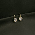 Elegant Geometric Oval Zircon Drop Hook Earrings, Gold Plated Alloy Luxury Minimalist Women's Earrings view 2