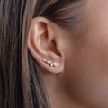 Micro Pave Zircon Olive Branch Leaf Stud Earrings For Women, Floral Fashion Ear Jewelry view 1
