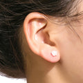 Elegant Translucent Acrylic Camellia Flower Studs With Silver Needle 3D Petal Aurora Cute Earrings view 4