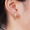 Fashion Hollow Vine Hoop Earrings For Women Style Elegant Noble Ear Jewelry view 3