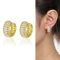 Vintage Geometric Metal Hoop Earrings For Women, European American Fashion Round Circle Ear Jewelry view 4