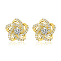 Cross Star Zircon Stud Earrings For Women, Floral Winding Design Elegant Versatile Ear Jewelry view 3