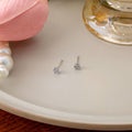 Elegant Minimalist Mini Round Zircon Studs Silver Needle Light Luxury Daily Commuter Ear Bone Earrings view 4