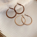 Minimalist Alloy Hollow Geometric Round Hoop Earrings With Silver Needle For Women view 3
