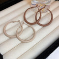 Minimalist Alloy Hollow Geometric Round Hoop Earrings With Silver Needle For Women view 1
