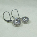 Sparkling Round Zircon Drop Earrings, Korean Style Commuter Ear Hooks For Young Women view 4