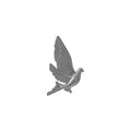 Light Luxury Metal Peace Dove Animal Brooch Creative Clothing Accessory Pin For Women view 5