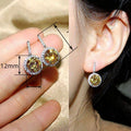 Luxury Round Cubic Zirconia Stud Earrings For Women, Pave Set OL Fashion Versatile Ear Jewelry view 4