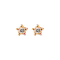 Elegant Five-Point Star Zircon Rhinestone Studs With Pink Crystal Accents For Women Fashion Earrings view 5