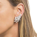 Women's Angel Wing Stud Earrings With Full Pave Cubic Zirconia Korean Fashion Design view 1