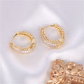 Hip Hop Street Style Zircon Hoop Earrings For Women, Hollow Design Minimalist Fashion Ear Jewelry view 3