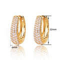 Hip Hop Street Style Zircon Hoop Earrings For Women, Hollow Design Minimalist Fashion Ear Jewelry view 5