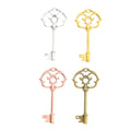 Zinc Alloy Key Charm Pendant No.903485 for DIY Necklace Bracelet Jewelry Making view 5