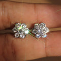 Sparkling Zircon Flower Stud Earrings, Light Luxury Snowflake Floral Classic Ear Jewelry view 1