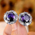 High End Fashion Round Zircon Stud Earrings, Luxury Crystal Women's Versatile Ear Jewelry view 7