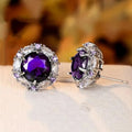 High End Fashion Round Zircon Stud Earrings, Luxury Crystal Women's Versatile Ear Jewelry view 3