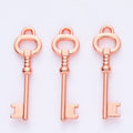 Classic Skeleton Key Vintage Metal Charm Pendant for Jewelry Making view 11