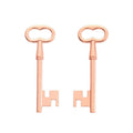 6-Finish Skeleton Key Metal Jewelry Components for Crafts view 11