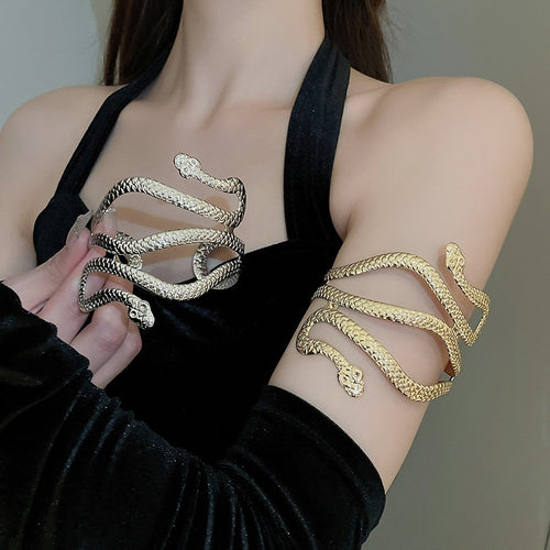 Minimalist Light Luxury Alloy Double Headed Snake Wrap Bangle For Women
