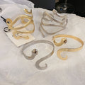 Minimalist Light Luxury Alloy Double Headed Snake Wrap Bangle For Women view 4