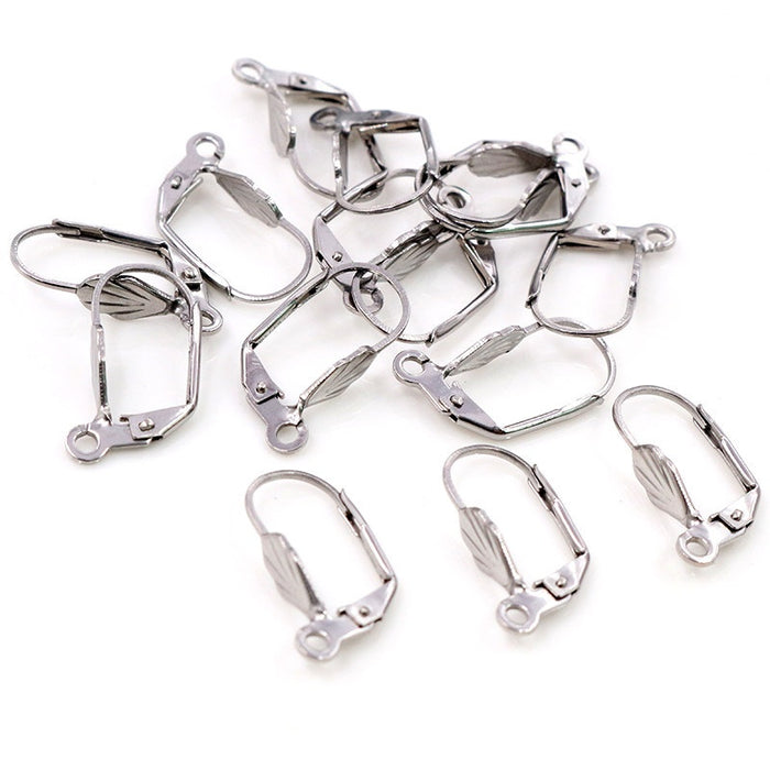 20x10mm Stainless Steel DIY Ear Hooks With Hole Earring Jewelry Accessories 0.5g Earrings