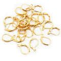 15x10mm Spring D Shape French Ear Hooks DIY Earring Clip Hoop Jewelry Findings Accessories Earrings view 3