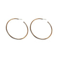 Chic Geometric Metal Hoop Earrings For Women, Round Minimalist Statement Light Luxury Jewelry view 5