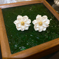 Premium Korean Style Resin Camellia Flower Stud Earrings For Women With Silver Needles view 4