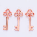 Zinc Alloy Key Charm Pendant No.955091 for DIY Necklace Bracelet Jewelry Making view 3