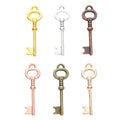 Zinc Alloy Key Charm Pendant No.516457 for DIY Necklace Bracelet Jewelry Making view 5