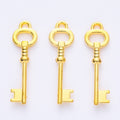 Zinc Alloy Key Charm Pendant No.516457 for DIY Necklace Bracelet Jewelry Making view 4
