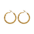 Chic Alloy Irregular Geometric Round Line Hoop Earrings With Silver Needle For Women view 5