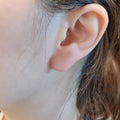 Butterfly Flower Earrings For Women, Micro Pave Zircon Sparkling Fashion Daily Ear Jewelry view 3