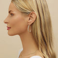 European Style Hollow Ear Cuff Earrings For Women, French Light Luxury Fashion Jewelry Accessories view 3