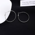 Elegant Korean Style Textured Silver Alloy Round Hoop Ear Buckles For Women Light Luxury Face Slimming Earrings view 3