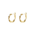 Metal Geometric Hoop Earrings With Silver Needle, Chic Minimalist Light Luxury Ear Jewelry view 5