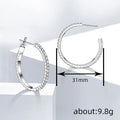Vacation Style Hoop Earrings For Women, Trendy Micro Paved Zircon Ring Jewelry view 4